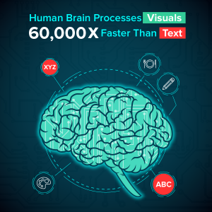 Brain-processes-visuals-faster-studio52